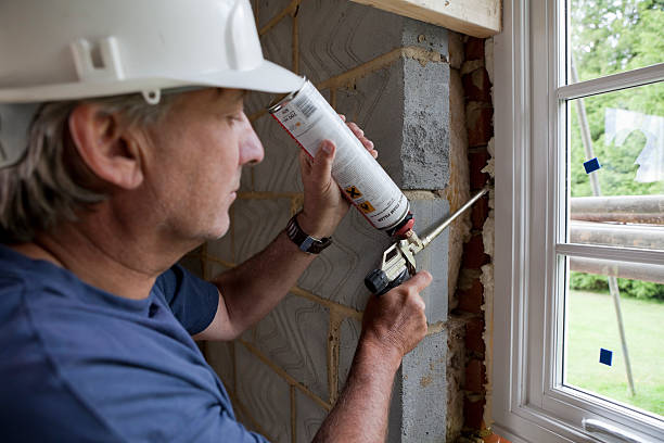 Best Wall Insulation Installation  in Rushford, MN